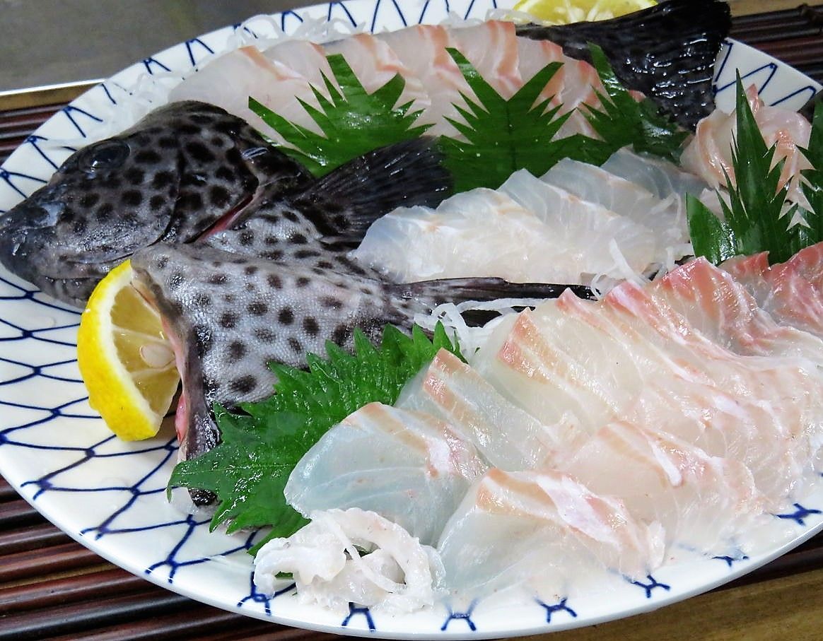 12月の手結漁港 土佐料理 旬の鰹がゆく 12月の手結漁港 土佐料理 旬の鰹がゆく