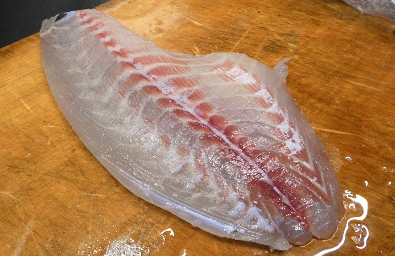 わが家の初釣り釣果 土佐料理 旬の鰹がゆく