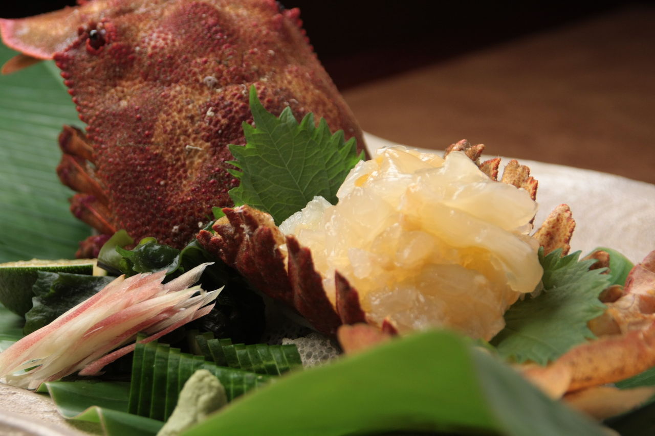 幻の海老 モンパ 土佐料理 旬の鰹がゆく