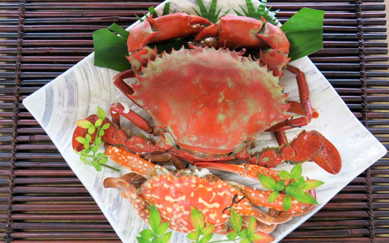 土佐料理 旬の鰹がゆく 高知の美味しいカニ