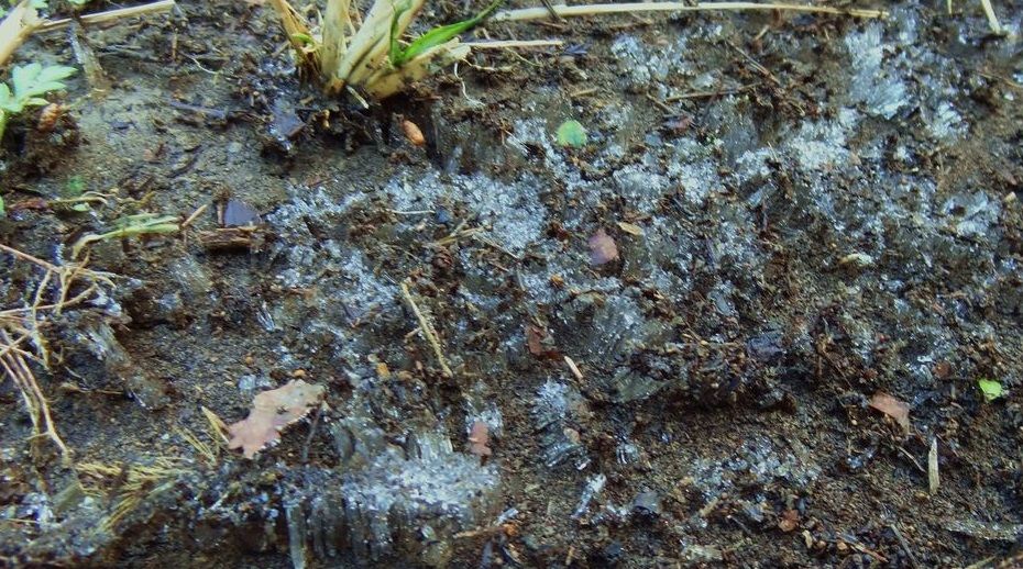 寒い日あれこれ 土佐料理 旬の鰹がゆく 寒い日あれこれ 土佐料理 旬の鰹がゆく
