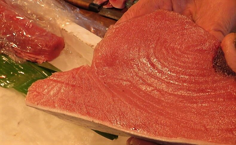 １２月の手結漁港水揚げ 土佐料理 旬の鰹がゆく