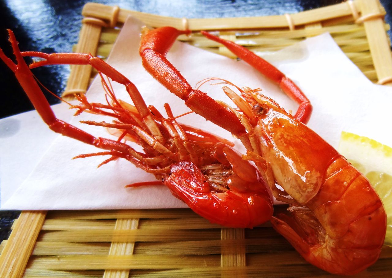 ヒラテテナガエビ 土佐料理 旬の鰹がゆく
