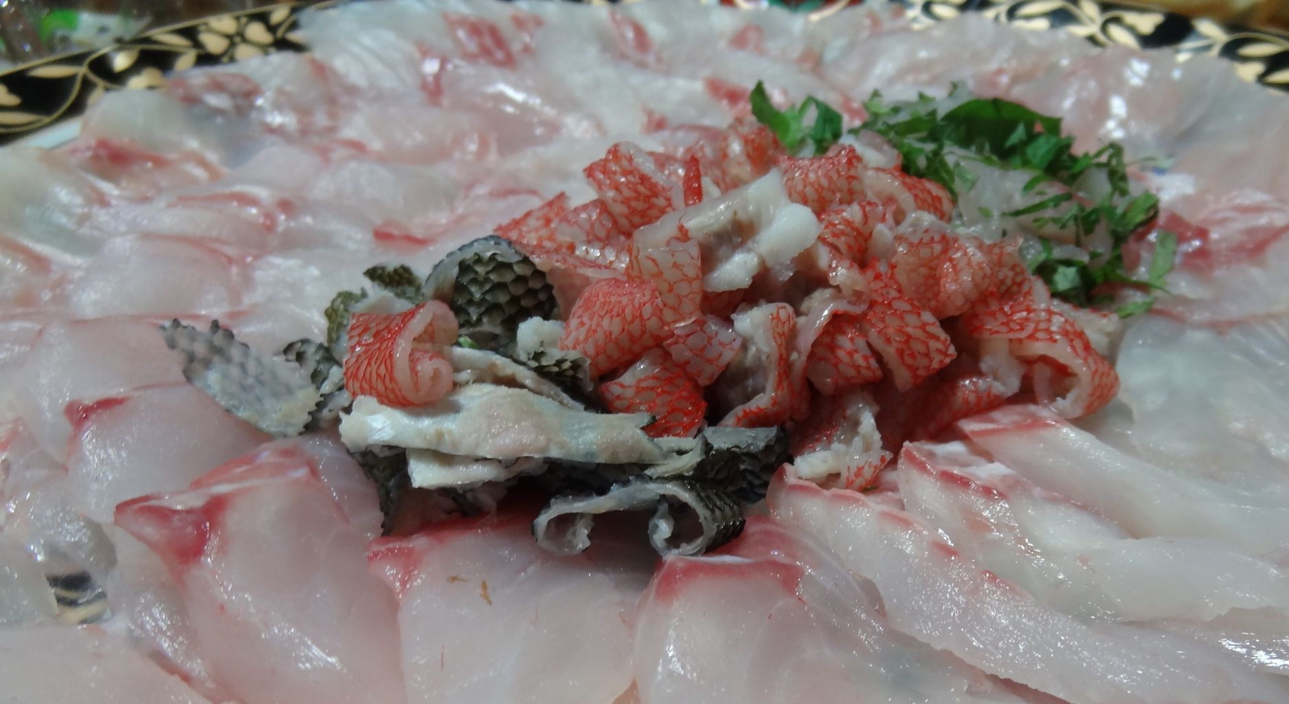春の鮮魚 室戸編 土佐料理 旬の鰹がゆく 春の鮮魚 室戸編 土佐料理 旬の鰹がゆく
