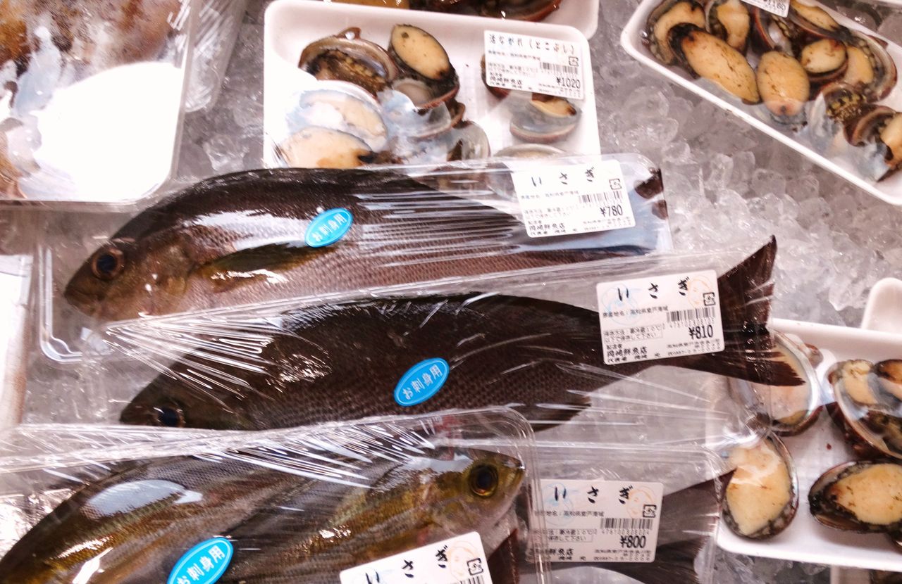 旬のイサキ料理 土佐料理 旬の鰹がゆく