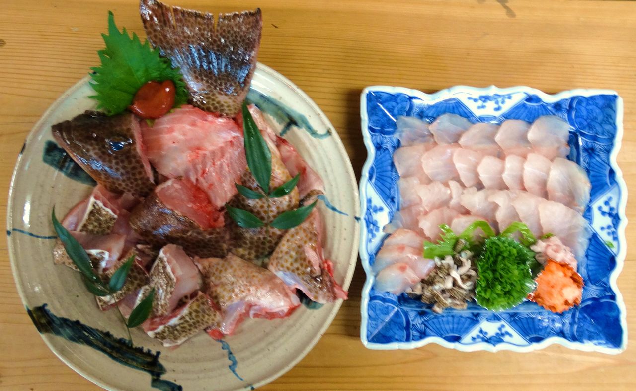 高知の自然 土佐料理 旬の鰹がゆく