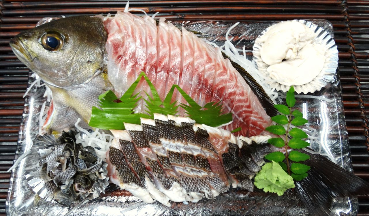 生鮮vs熟成 釣ったグレの場合 土佐料理 旬の鰹がゆく 生鮮vs熟成 釣ったグレの場合 土佐料理 旬の鰹がゆく