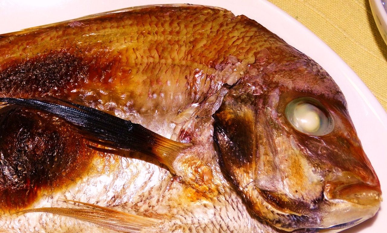 特別な干物 土佐料理 旬の鰹がゆく