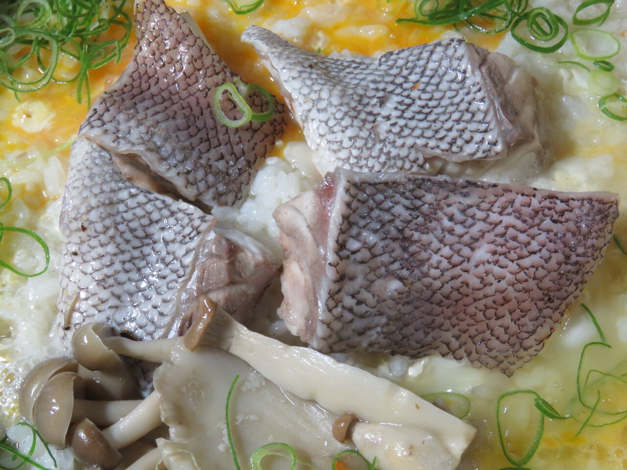 高知のマスクエ 土佐料理 旬の鰹がゆく 高知のマスクエ 土佐料理 旬の鰹がゆく