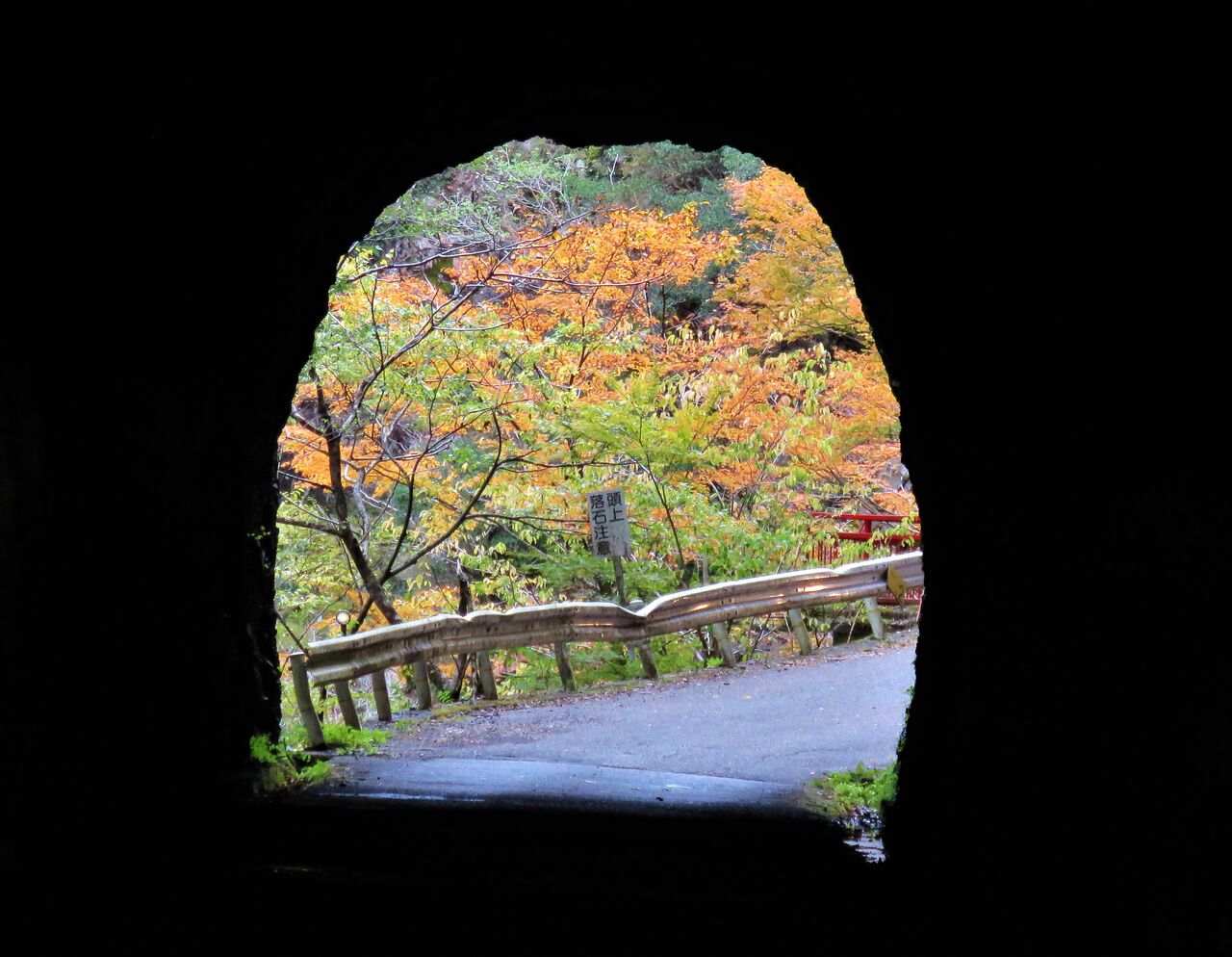 四国東部の国道から見る紅葉の美しさ 土佐料理 旬の鰹がゆく