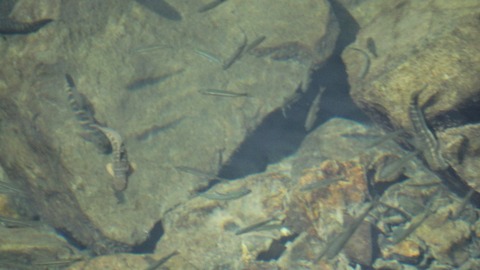 DSC09720