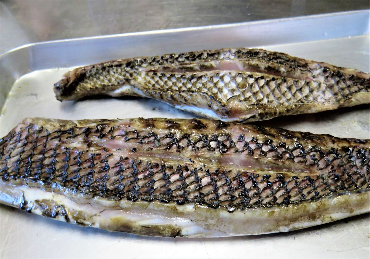 浜笛吹 ハマフエフキ 土佐料理 旬の鰹がゆく