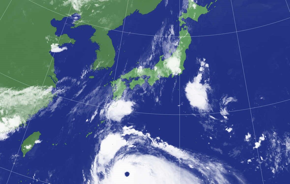 いこじな独り言 土佐料理 旬の鰹がゆく