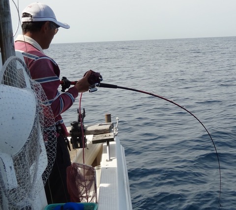 高知 沖釣り