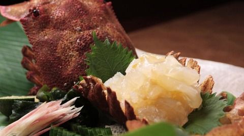 ２０１５厳選の秋食材 海産物編 土佐料理 旬の鰹がゆく