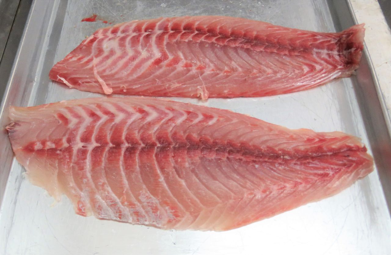 料理高知の料理 土佐料理 旬の鰹がゆく