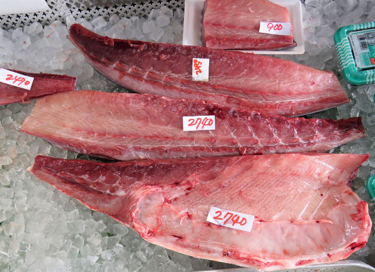 室戸の極上ブリ2019 土佐料理 旬の鰹がゆく 室戸の極上ブリ2019 土佐料理 旬の鰹がゆく