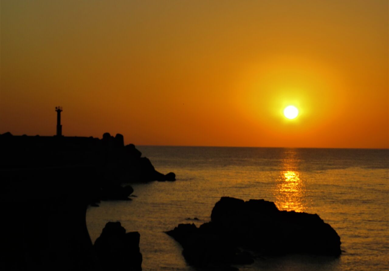 太陽を楽しむ季節 土佐料理 旬の鰹がゆく 太陽を楽しむ季節 土佐料理 旬の鰹がゆく