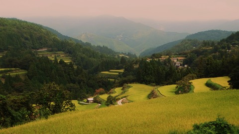 DSC09324