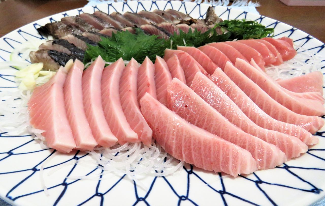 近海マグロ類の比較 土佐料理 旬の鰹がゆく 近海マグロ類の比較 土佐料理 旬の鰹がゆく