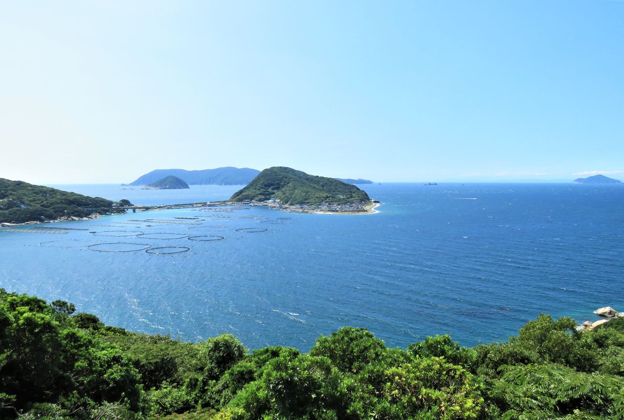 大月町 柏島 土佐料理 旬の鰹がゆく