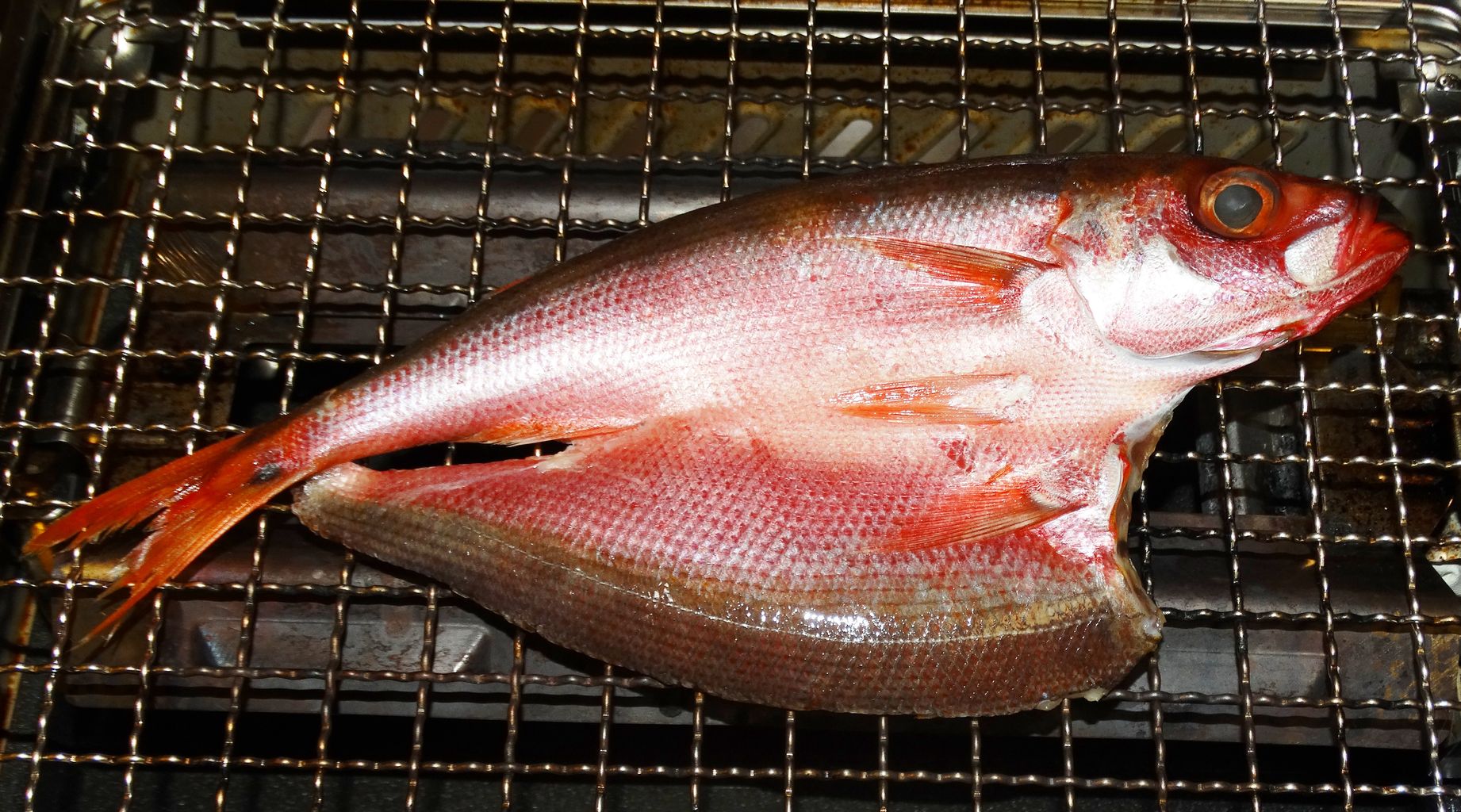 高知の夏干物 土佐料理 旬の鰹がゆく