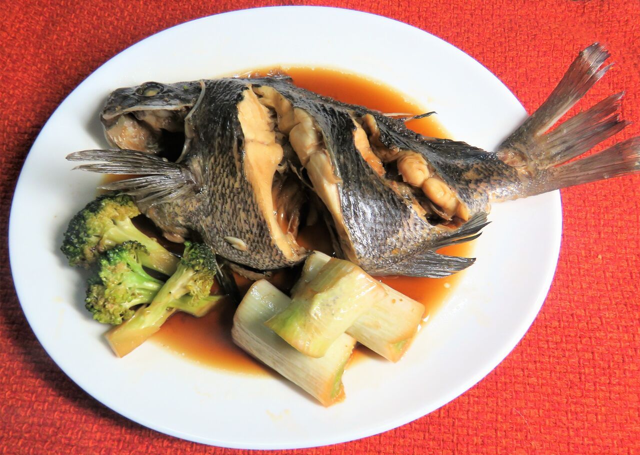 岸壁の春メジナ釣り 土佐料理 旬の鰹がゆく 岸壁の春メジナ釣り 土佐料理 旬の鰹がゆく