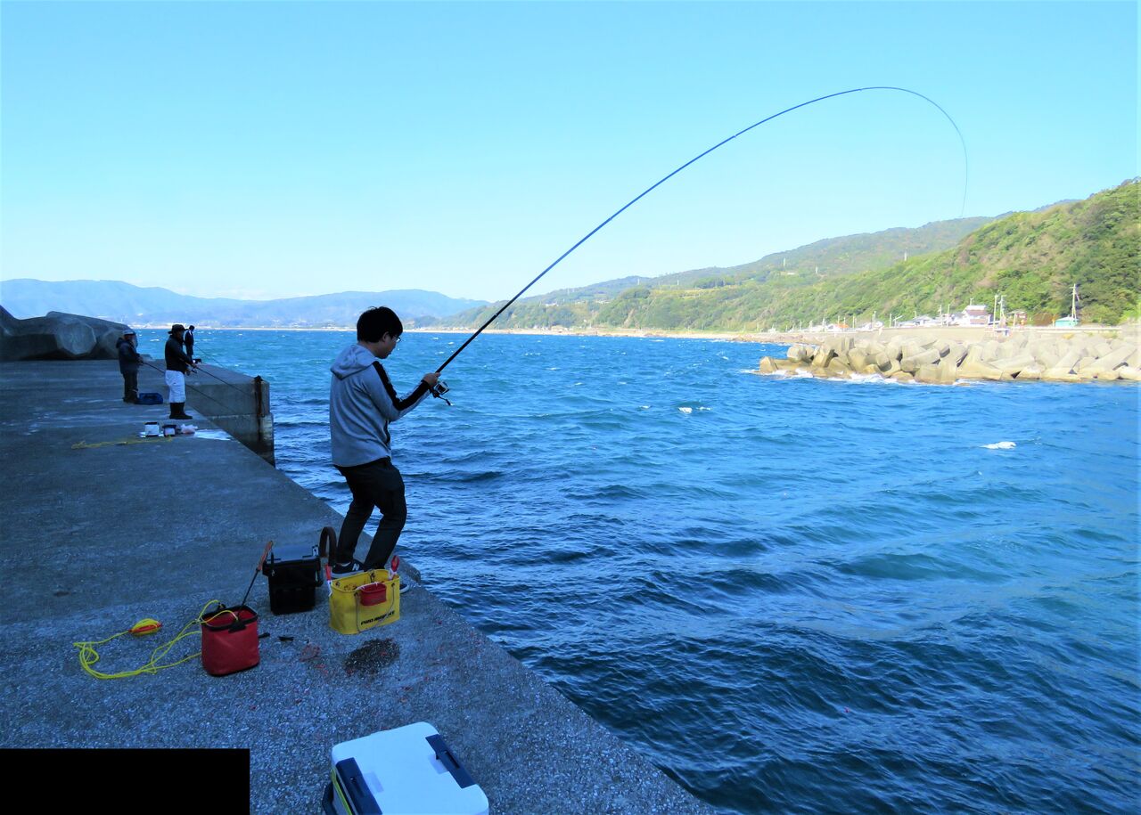 奈半利町 加領郷 漁港での釣り 土佐料理 旬の鰹がゆく
