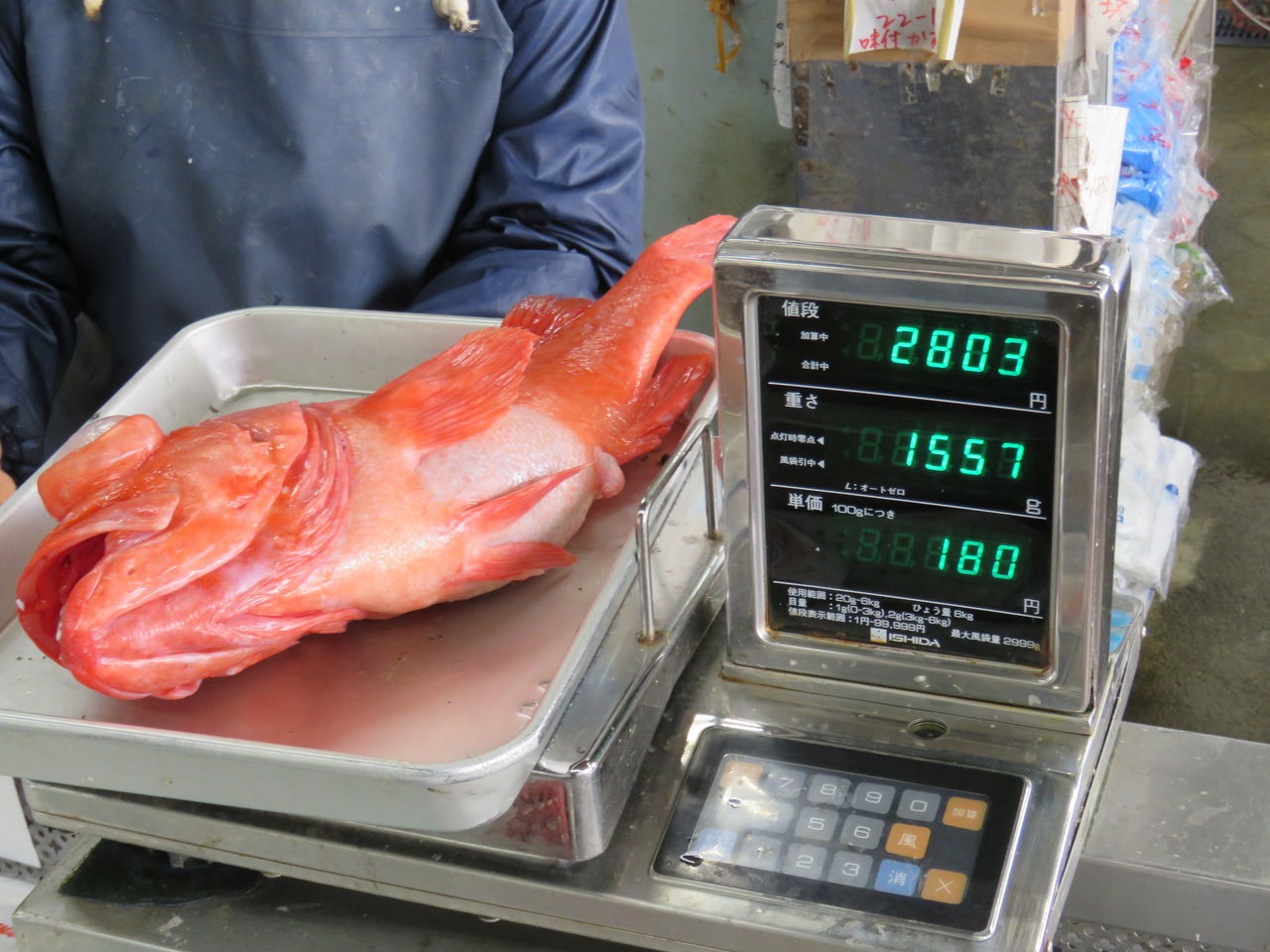赤魚鯛 アコウダイ 旬のアコウダイはこう刺身にする 土佐料理 旬の鰹がゆく