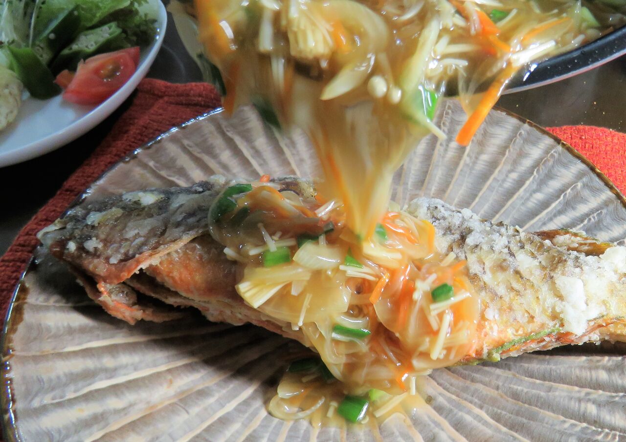 高知の珍魚 土佐料理 旬の鰹がゆく