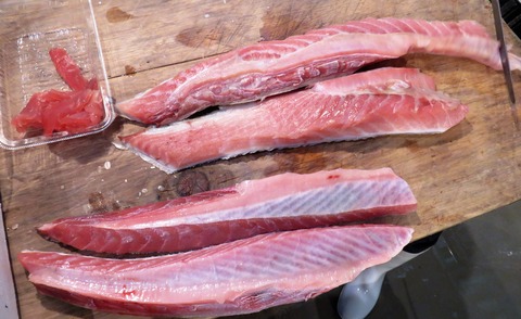 メバチマグロのハランボ