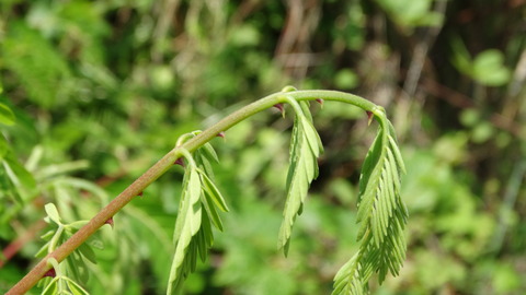 DSC02550