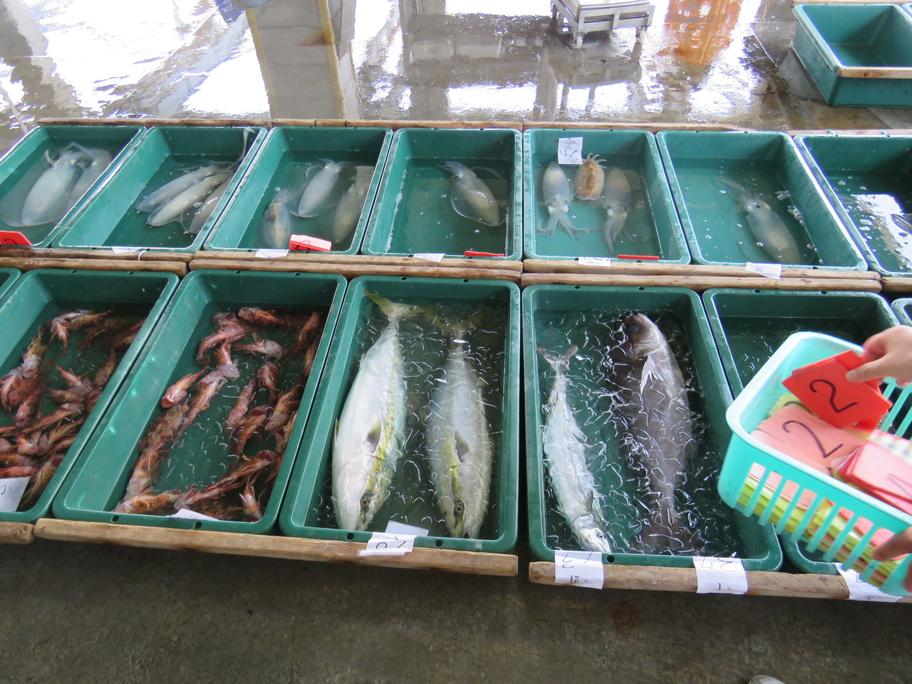 産地に寄せる熱い想い 手結漁港でも行われていた金目鯛漁 土佐料理 旬の鰹がゆく 産地に寄せる熱い想い 手結漁港でも行われていた金目鯛漁 土佐料理 旬の鰹がゆく
