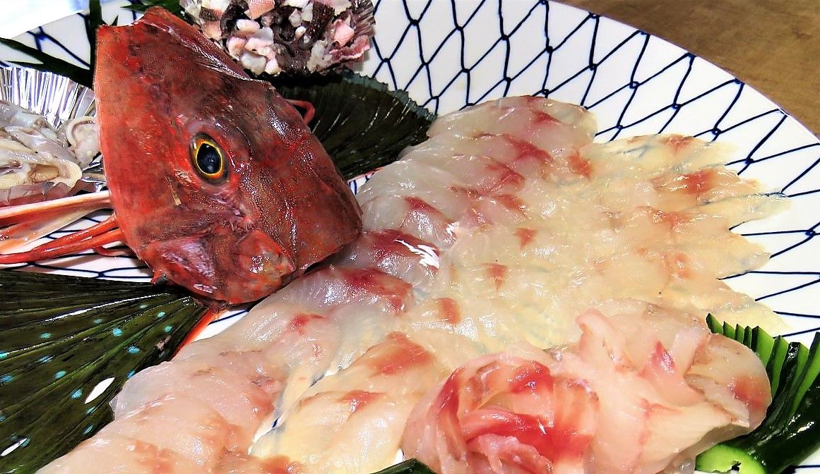 セミホウボウ科 土佐料理 旬の鰹がゆく セミホウボウ科 土佐料理 旬の鰹がゆく