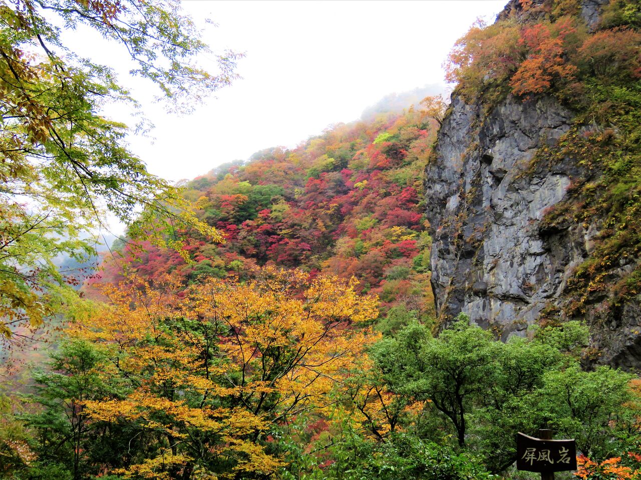 立冬の霧雨に煙る奥物部べふ峡 土佐料理 旬の鰹がゆく