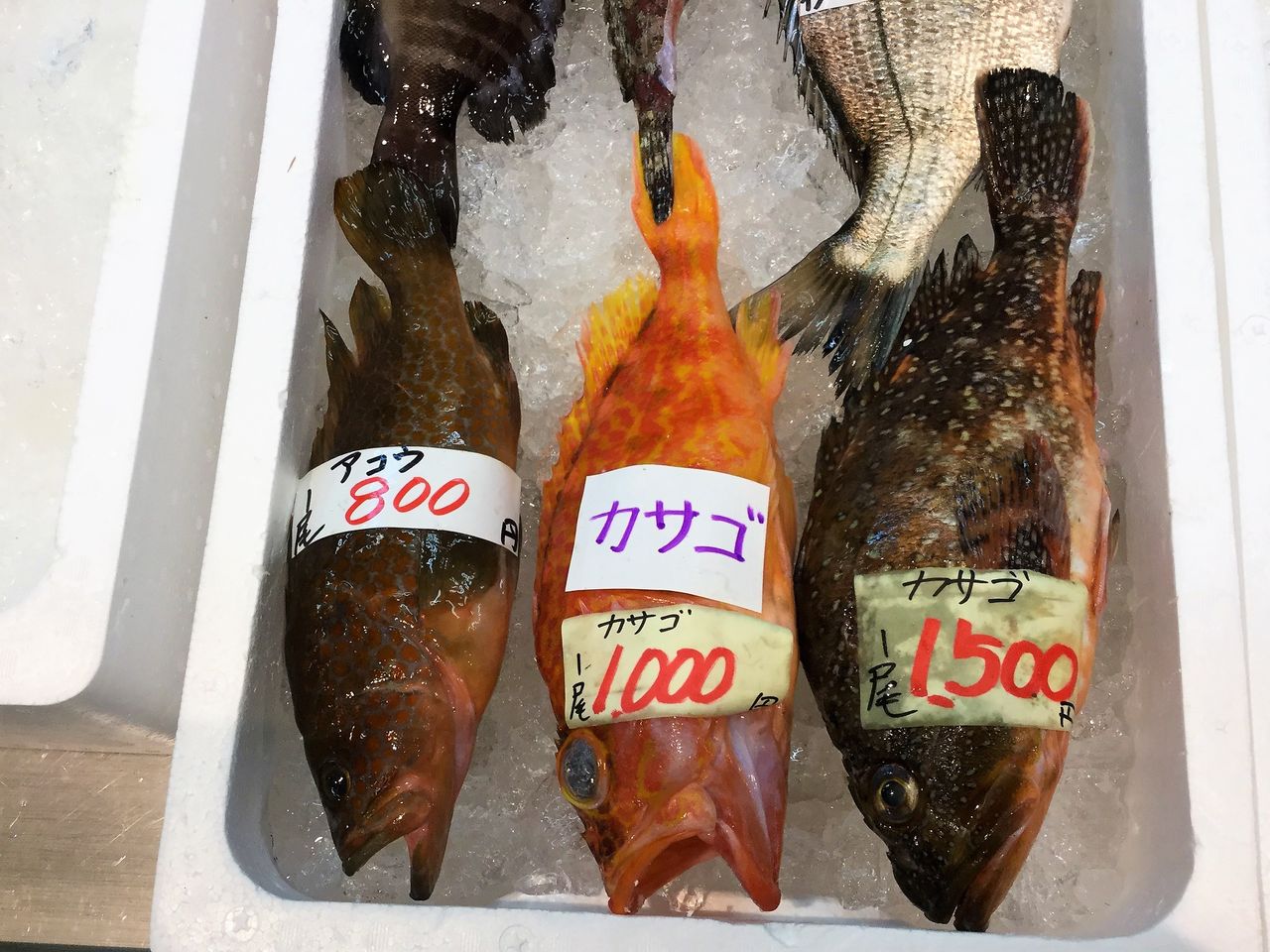 17年04月 土佐料理 旬の鰹がゆく 17年04月 土佐料理 旬の鰹がゆく