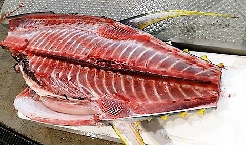 冬の近海キハダマグロ 土佐料理 旬の鰹がゆく