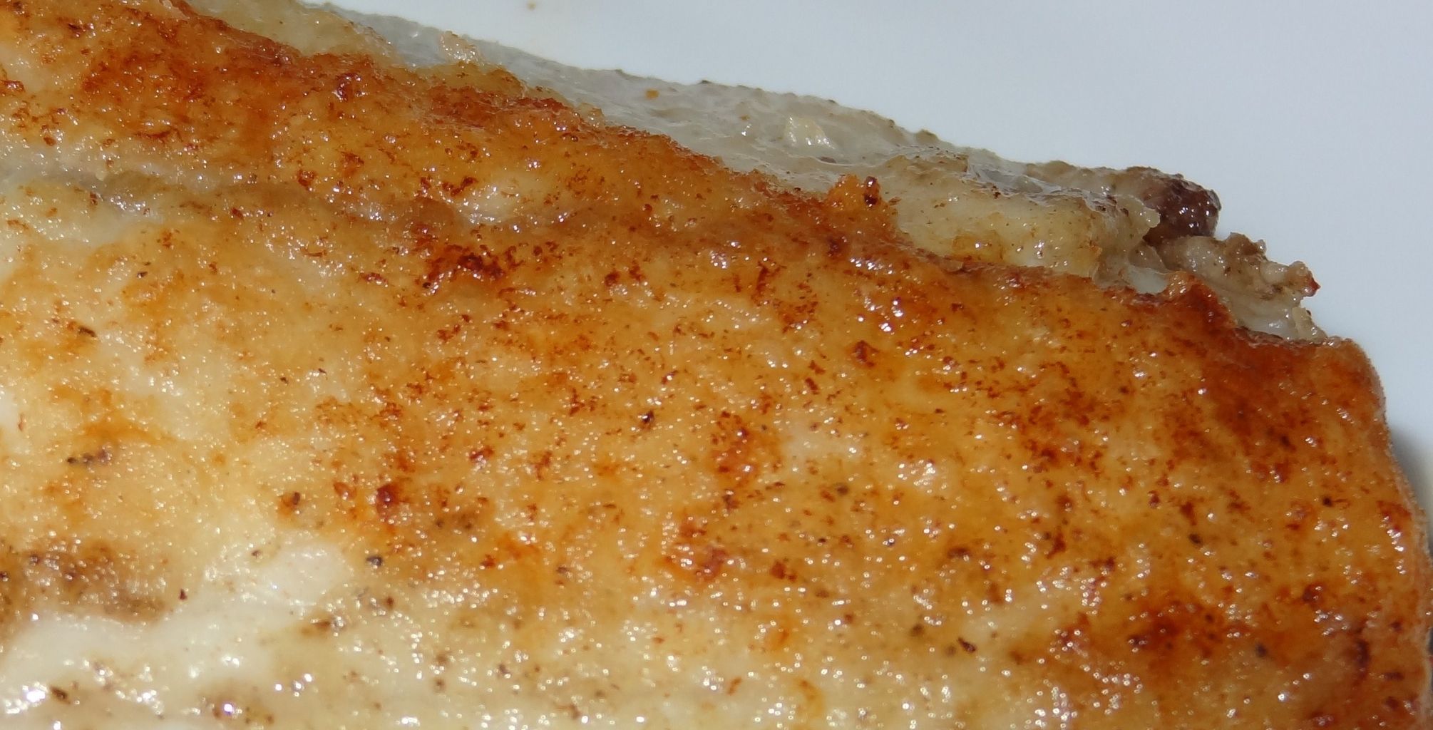 サワラ 土佐料理 旬の鰹がゆく