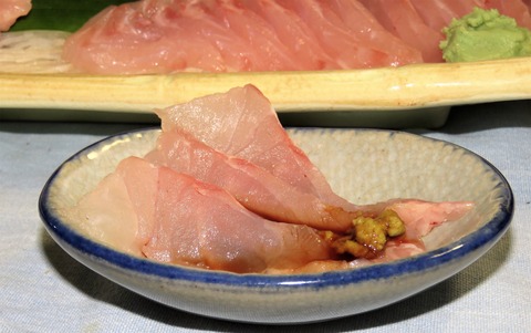 高知の食材 海産物 水産資源 土佐料理 旬の鰹がゆく
