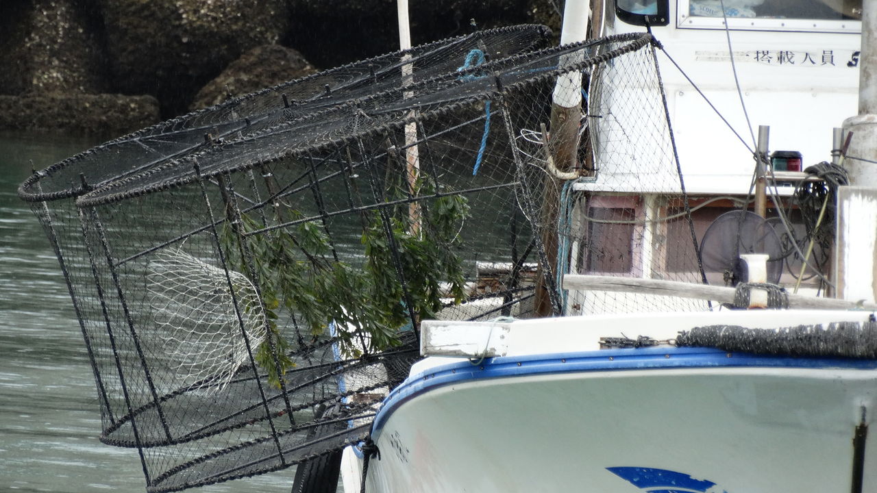 14年03月 土佐料理 旬の鰹がゆく