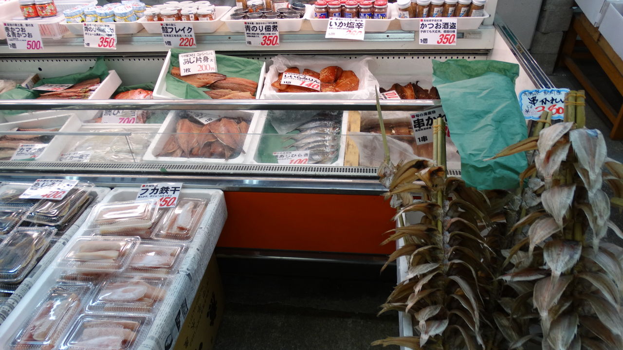 スルメ 土佐料理 旬の鰹がゆく