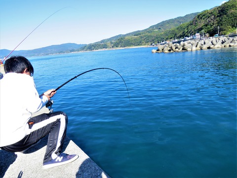 加領郷の岸壁釣りステップアップ編 土佐料理 旬の鰹がゆく