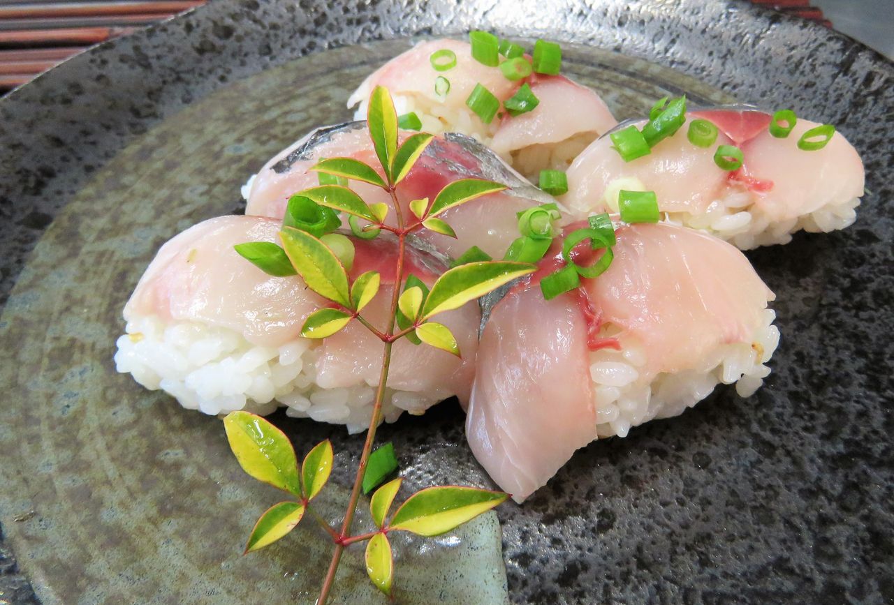 高知の食材 海産物 水産資源 土佐料理 旬の鰹がゆく