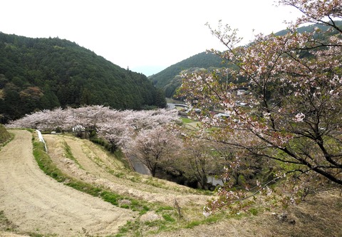 DSCN7713