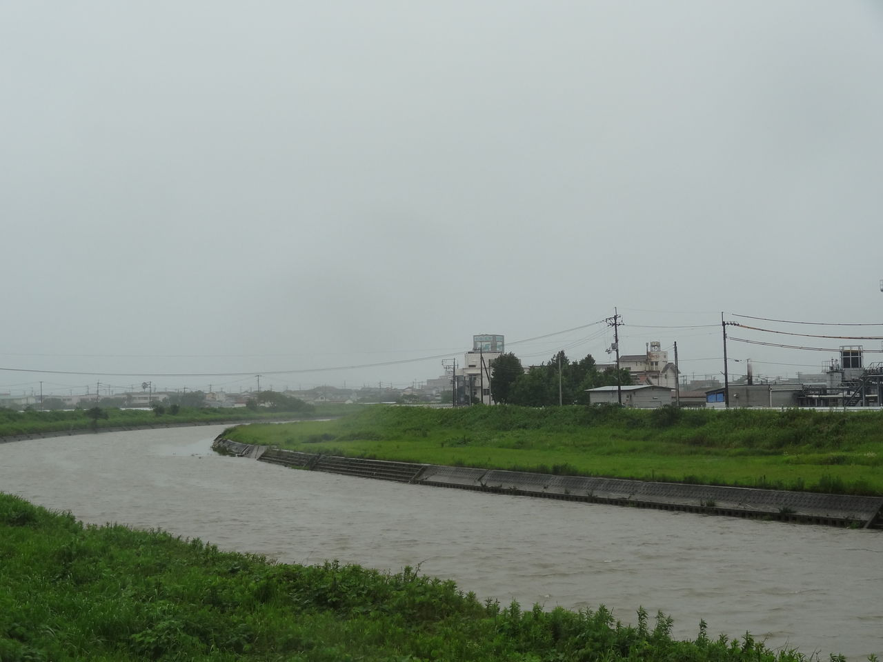 土佐料理 旬の鰹がゆく!2012年06月台風の通り道高知のマッシュルーム高知、里山の果実梅雨前線北上新たな力 土佐料理 鰹