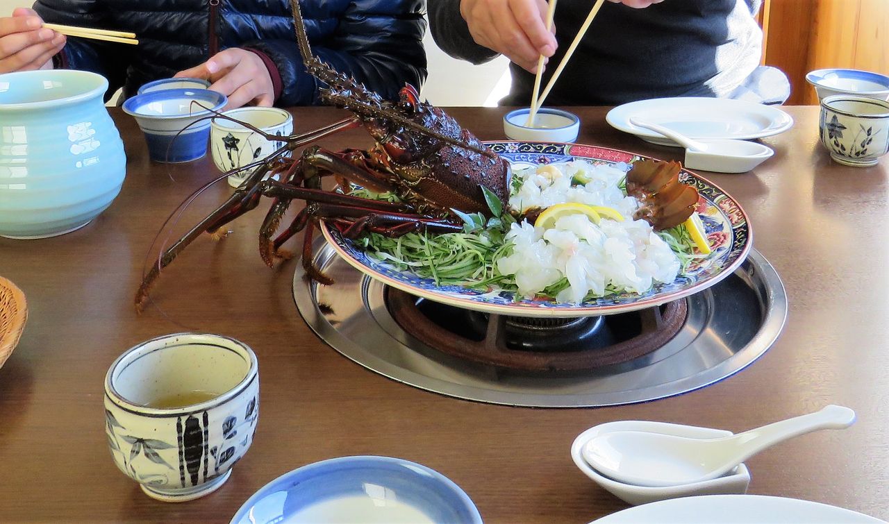 家族で味わう伊勢海老料理 いせえび料理 中平 さんへ行く 土佐料理 旬の鰹がゆく