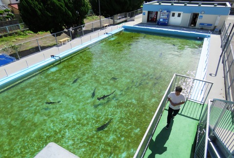 室戸廃校水族館