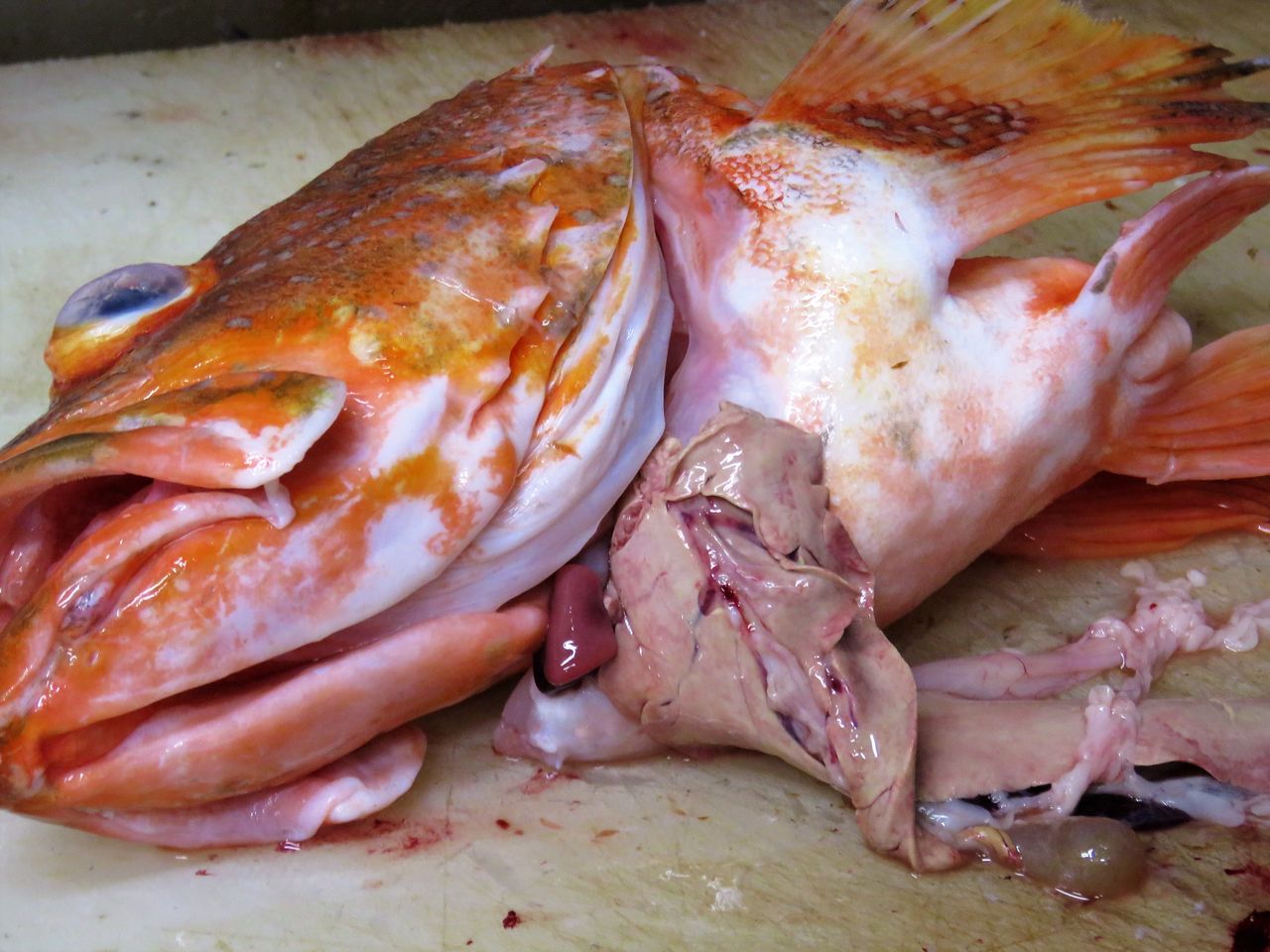 ２０１８年7月の室戸の海 土佐料理 旬の鰹がゆく