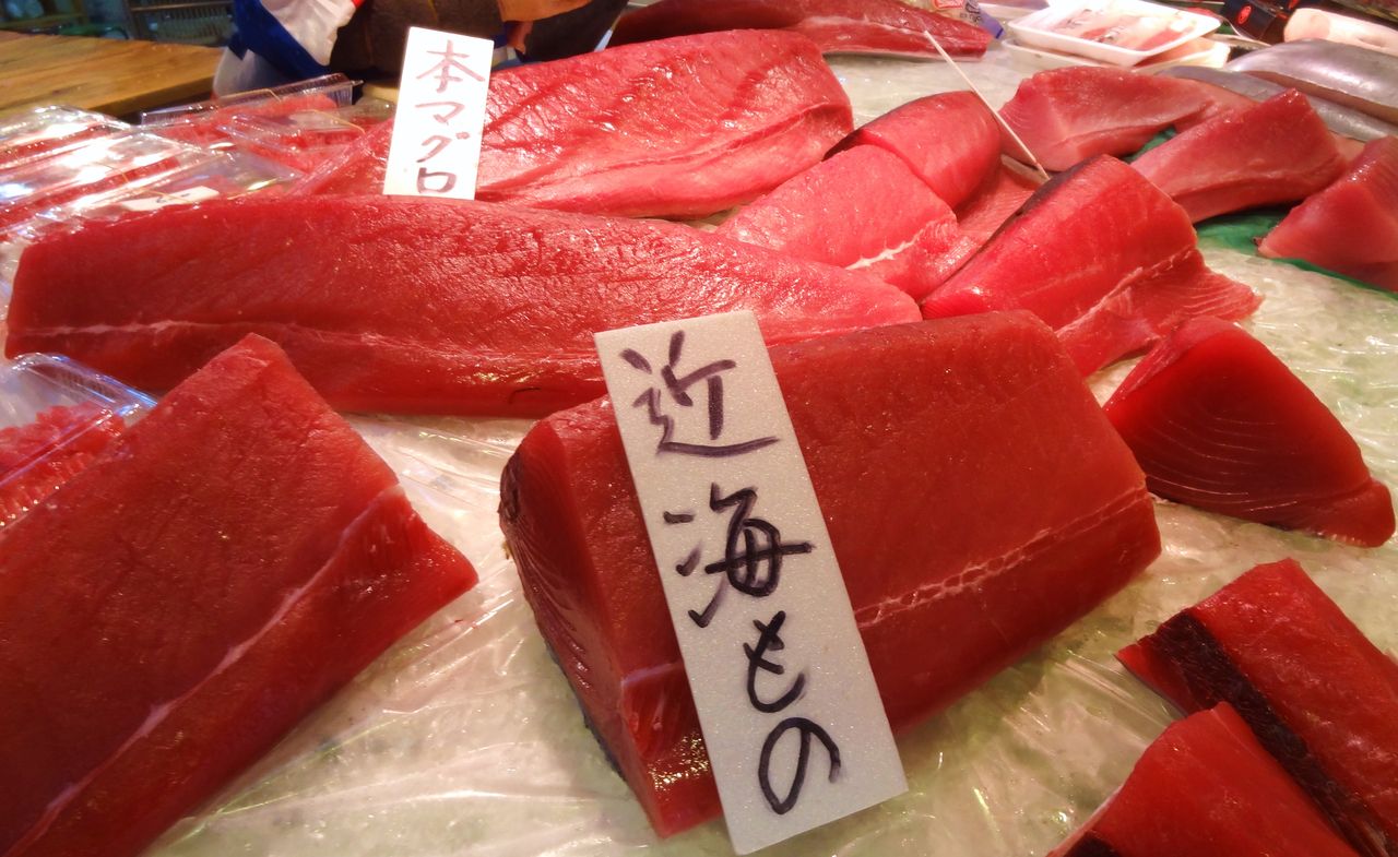 高知の小型マグロ属 土佐料理 旬の鰹がゆく