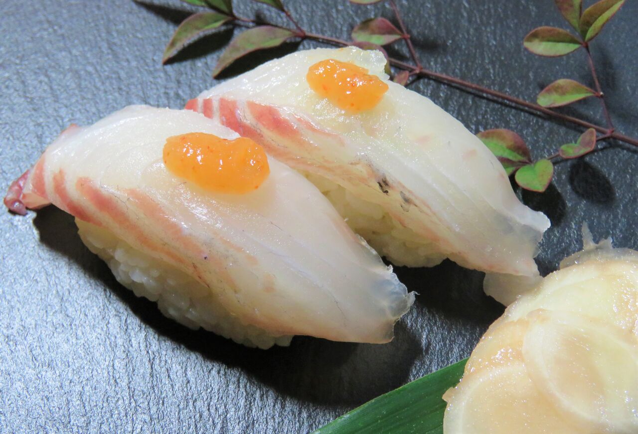 加領郷のグレ メジナ 釣りと料理 土佐料理 旬の鰹がゆく